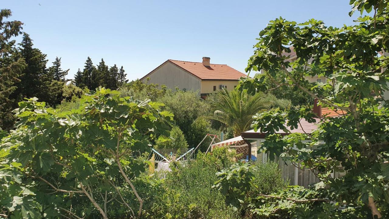 Apartments Mislav Novalja Dış mekan fotoğraf
